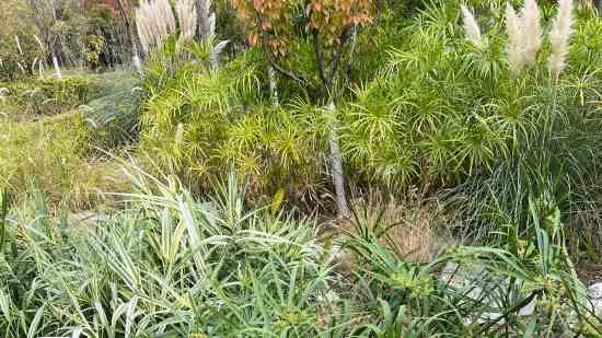 最紅網(wǎng)絡(luò)游戲家族名字_軒芫々新貴族