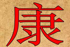 帶康字公司取名字