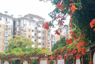 園林綠化公司起名
