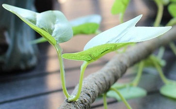 心理咨詢公司起名字