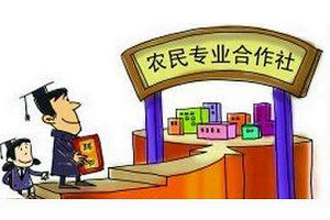 農業合作社起名字