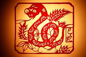 給屬蛇的人開公司起名