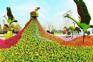 園藝公司起名